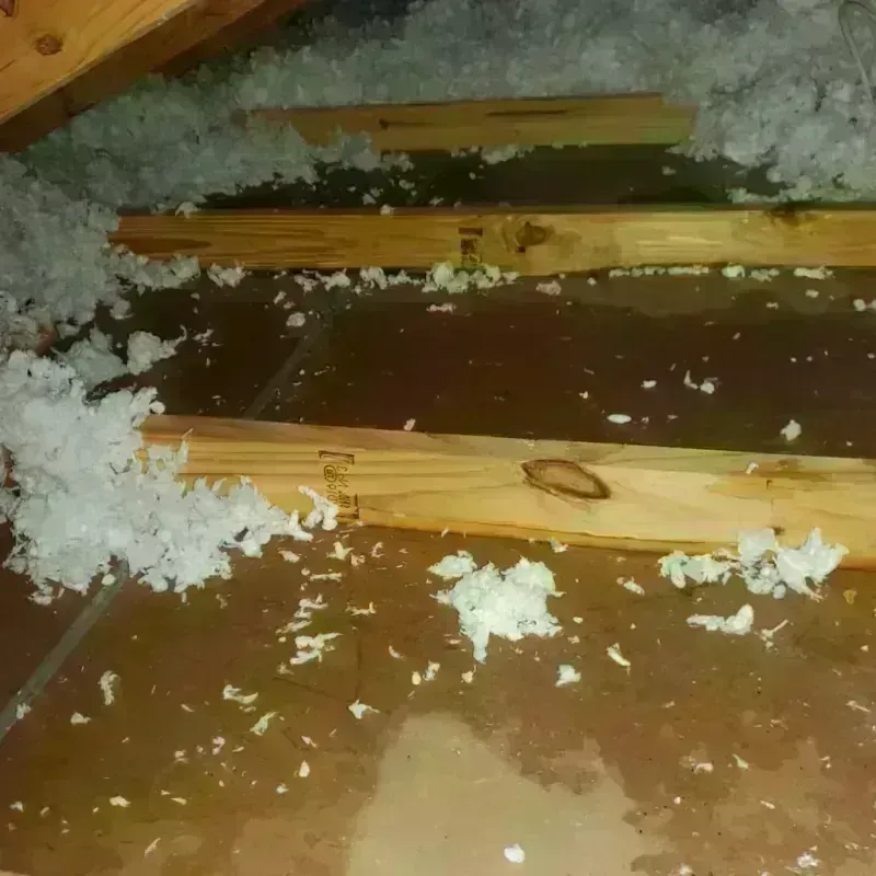 Attic Water Damage in Osage County, OK