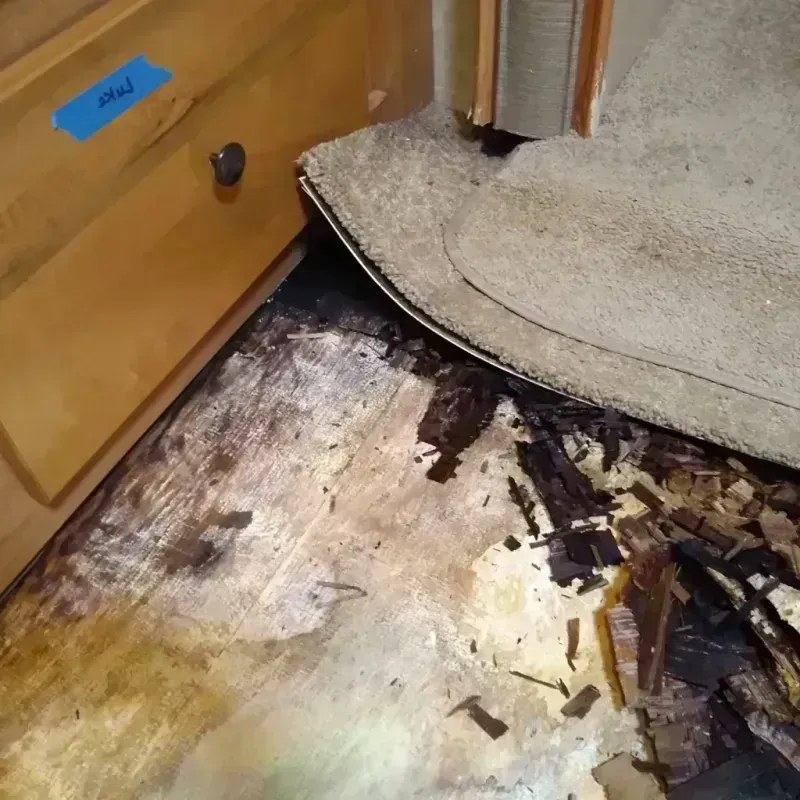 Best Wood Floor Water Damage Service in Osage County, OK